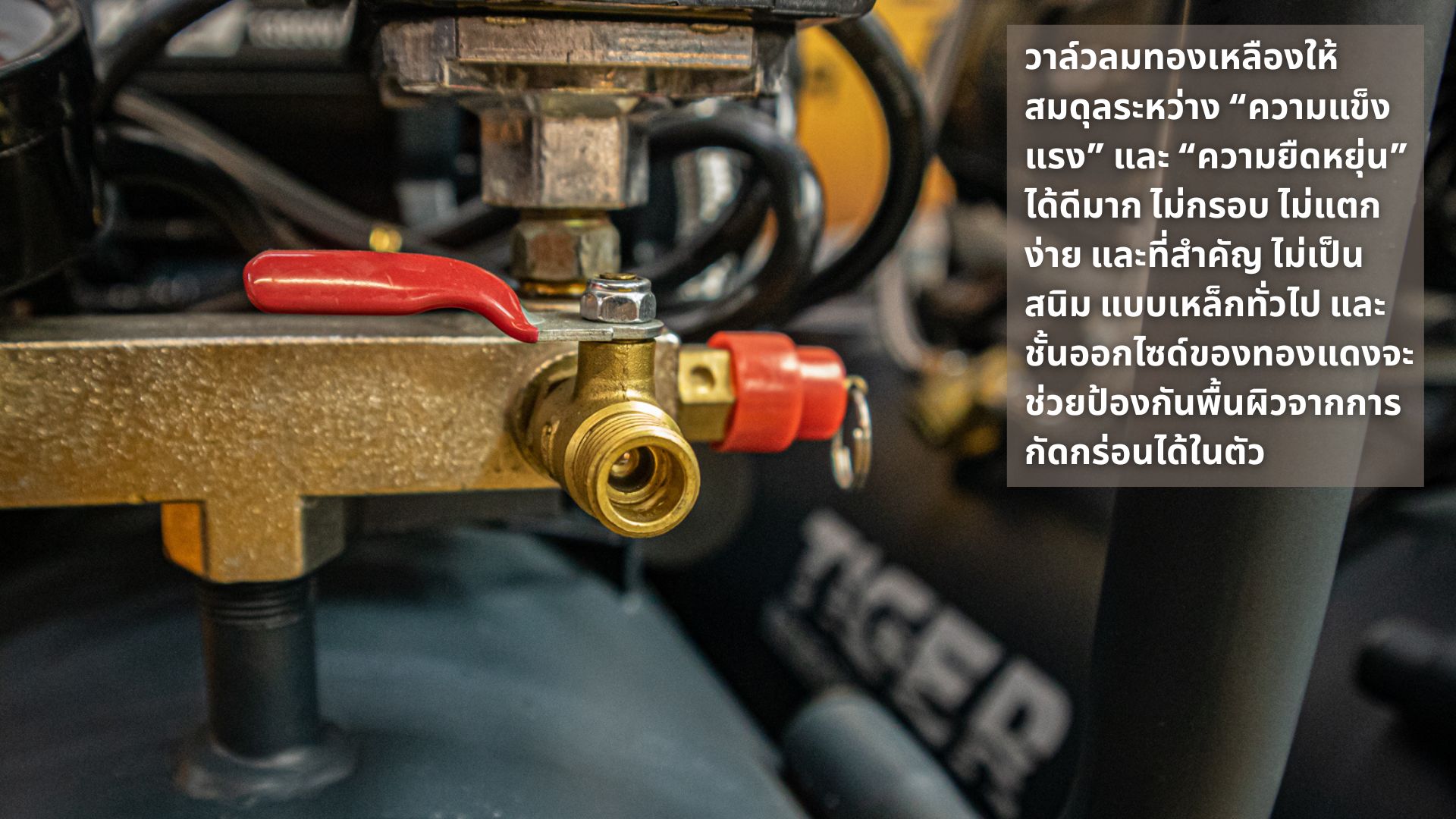 วาล์วลม วาล์วลม