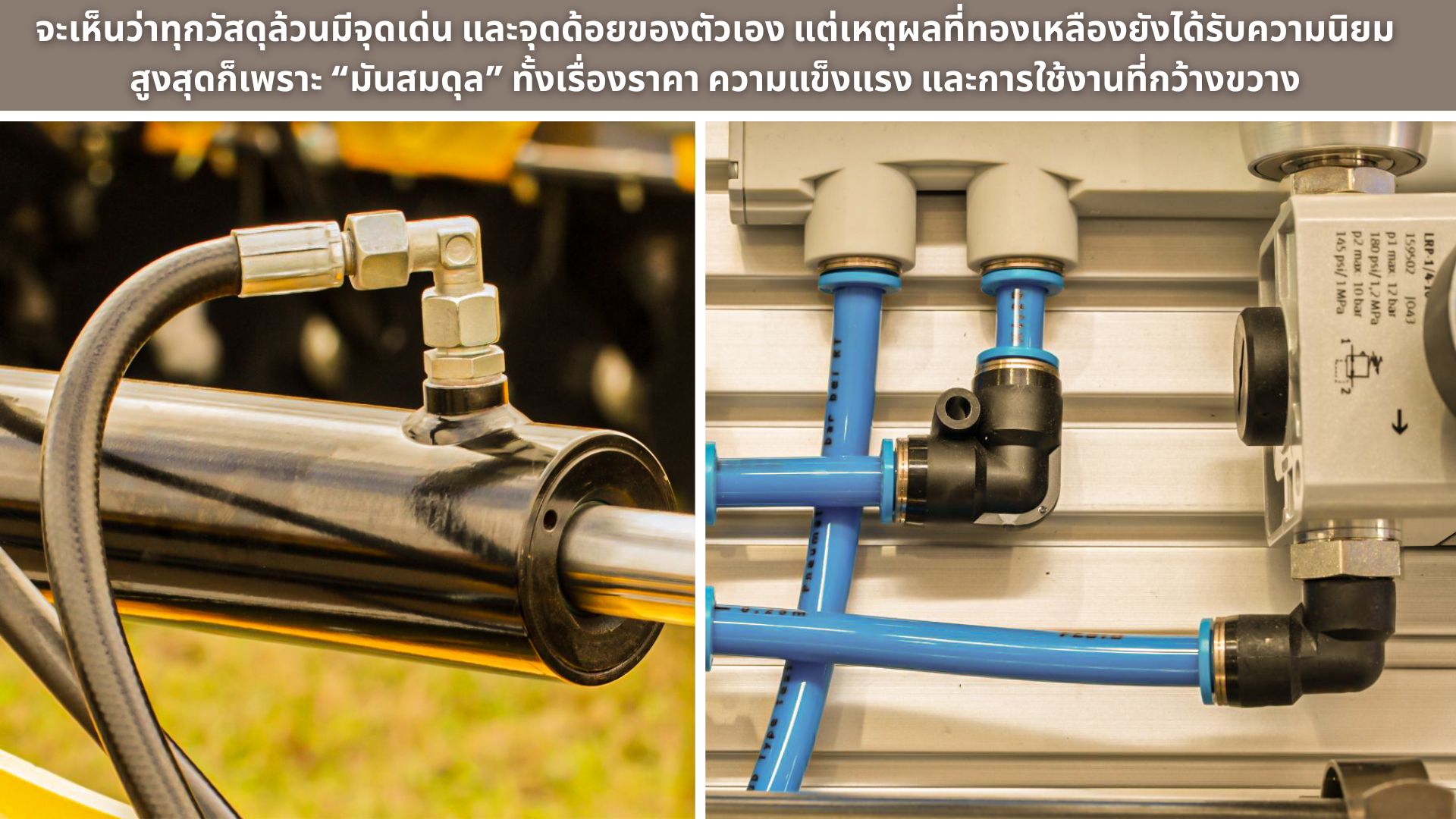 วาล์วลม วาล์วลม